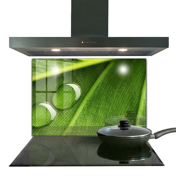 Sklenený obklad do kuchyne Kvapka rosy na liste