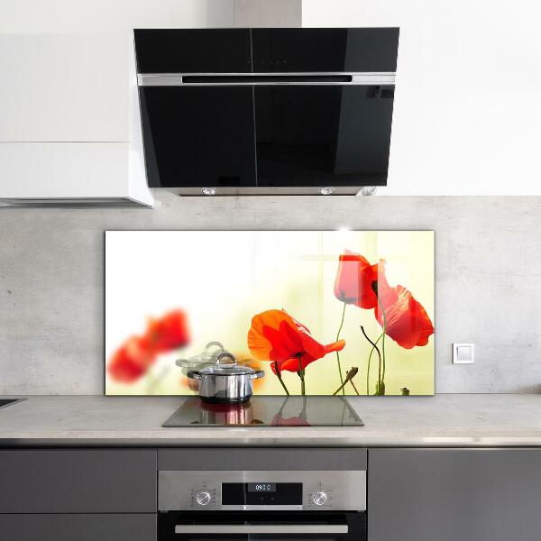 Sklenený obklad do kuchyne Poľná lúka s červenými makmi