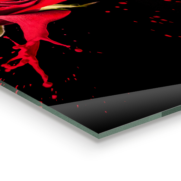 Sklenený obklad do kuchyne Abstrakt červená ruža