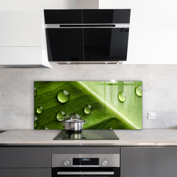 Sklenený obklad do kuchyne List s kvapkami rannej rosy