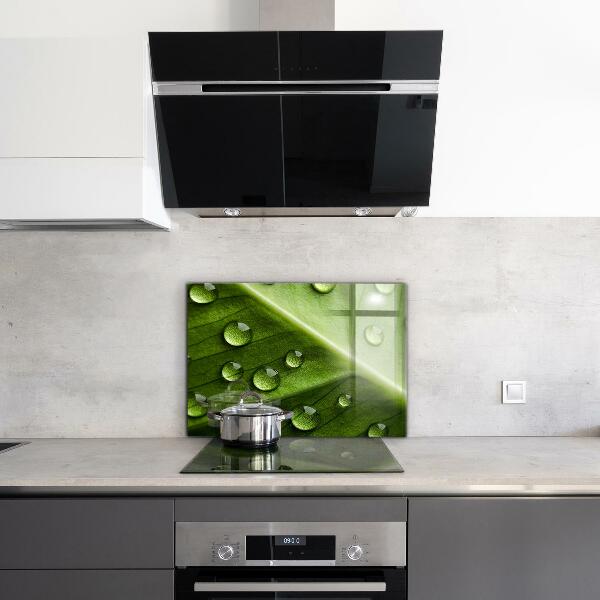 Sklenený obklad do kuchyne List s kvapkami rannej rosy