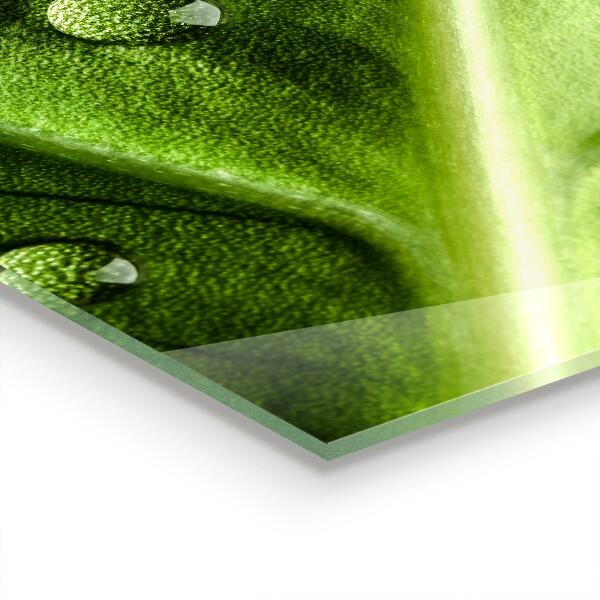 Sklenený obklad do kuchyne List s kvapkami rannej rosy