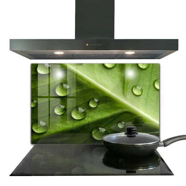 Sklenený obklad do kuchyne List s kvapkami rannej rosy