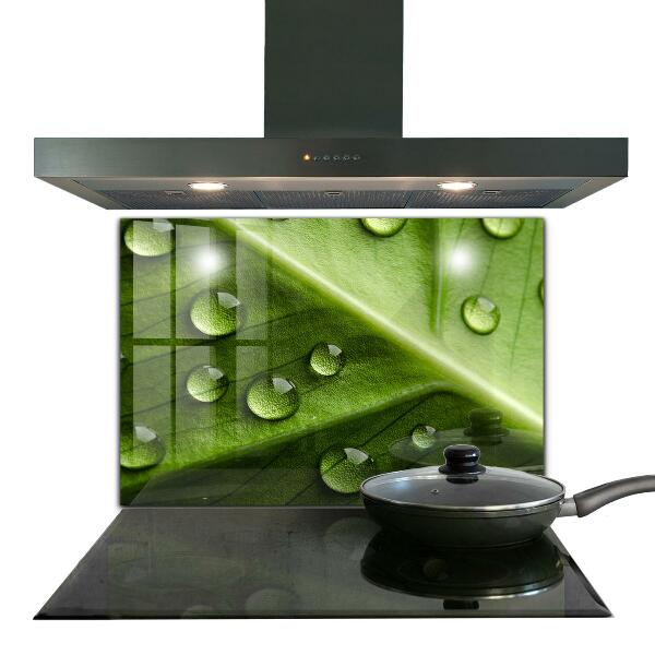 Sklenený obklad do kuchyne List s kvapkami rannej rosy