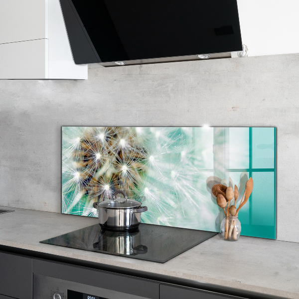 Sklenený obklad do kuchyne Púpava vo veternej elektrárni