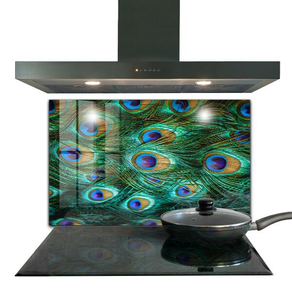 Nástenný panel  Pávie perie krásna príroda