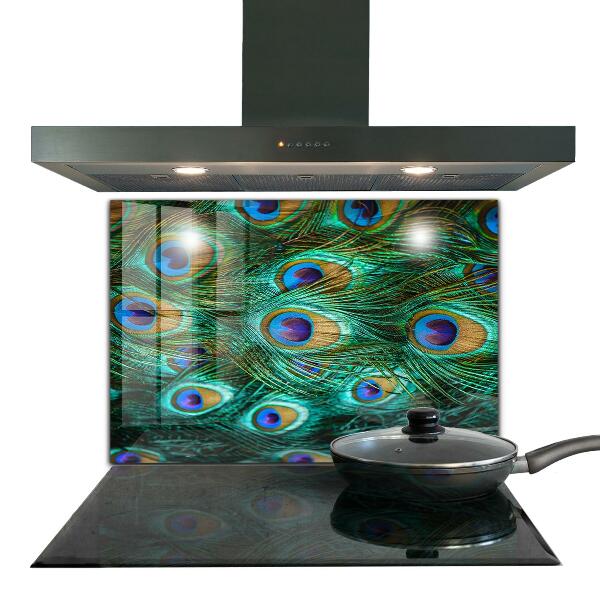 Nástenný panel  Pávie perie krásna príroda