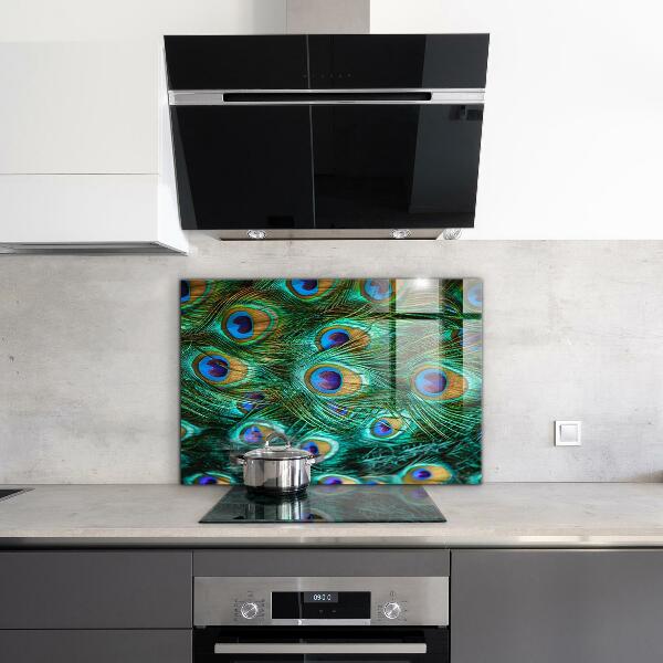 Nástenný panel  Pávie perie krásna príroda