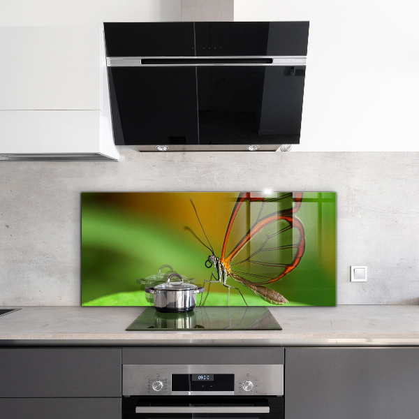 Sklenený obklad do kuchyne Motýľ na liste