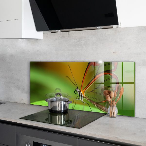 Sklenený obklad do kuchyne Motýľ na liste