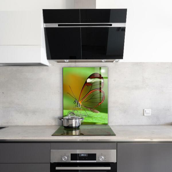 Sklenený obklad do kuchyne Motýľ na liste