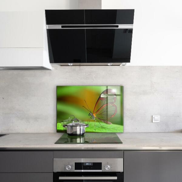 Sklenený obklad do kuchyne Motýľ na liste