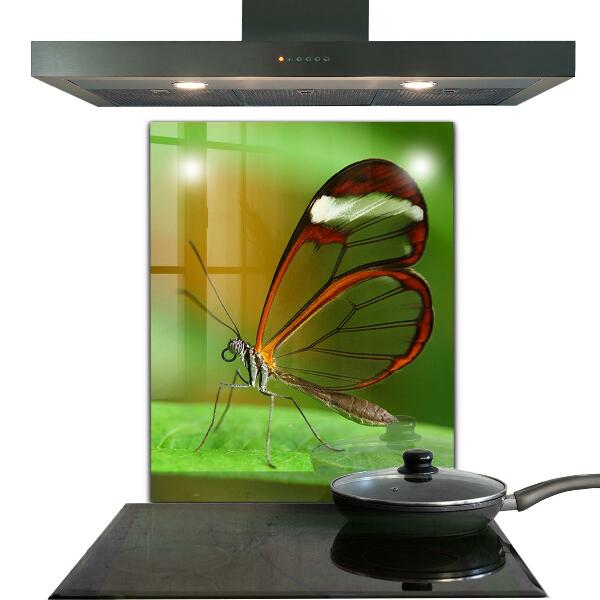 Sklenený obklad do kuchyne Motýľ na liste