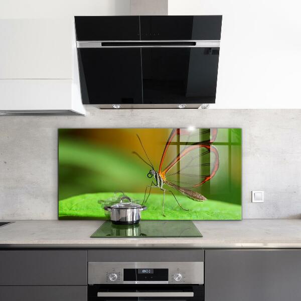 Sklenený obklad do kuchyne Motýľ na liste