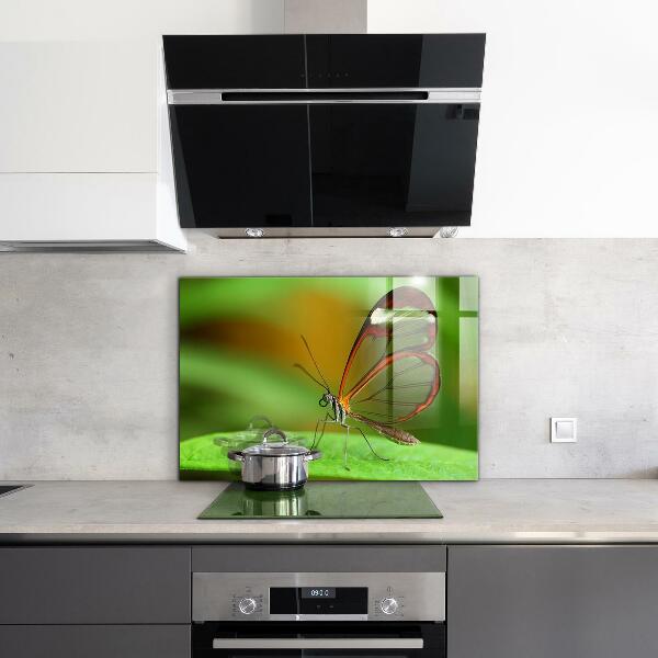 Sklenený obklad do kuchyne Motýľ na liste