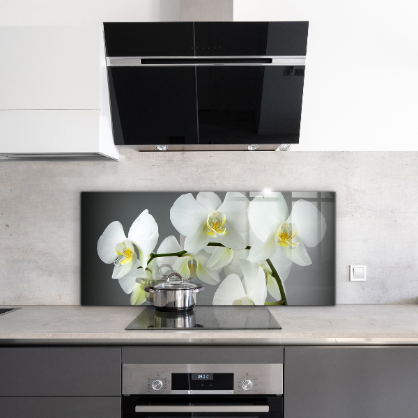 Sklenený obklad do kuchyne Biela orchidea na čiernom pozadí