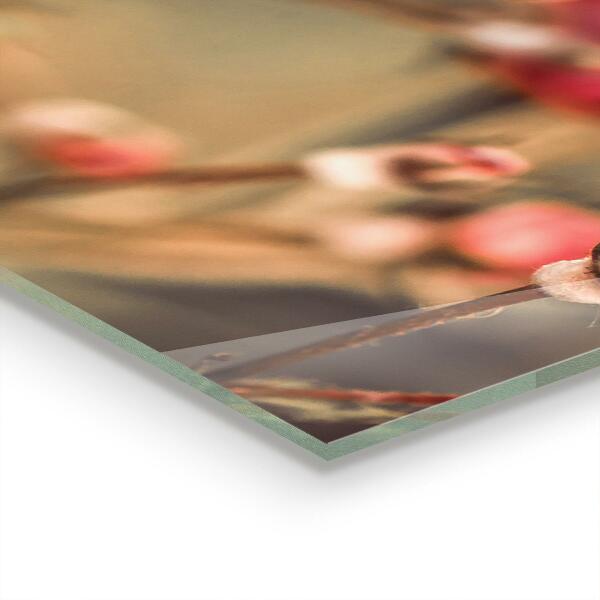 Nástenný panel  Divoká ruža v parku