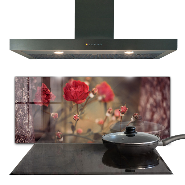 Nástenný panel  Divoká ruža v parku