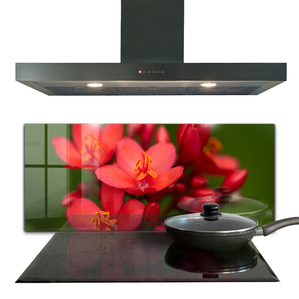 Nástenný panel  Kvitnúce púčiky kvetov