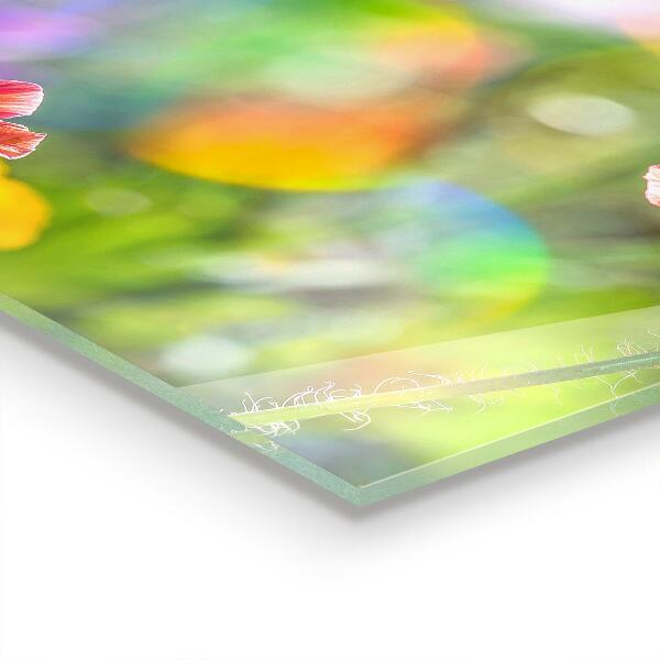 Nástenný panel  Letná maková lúka