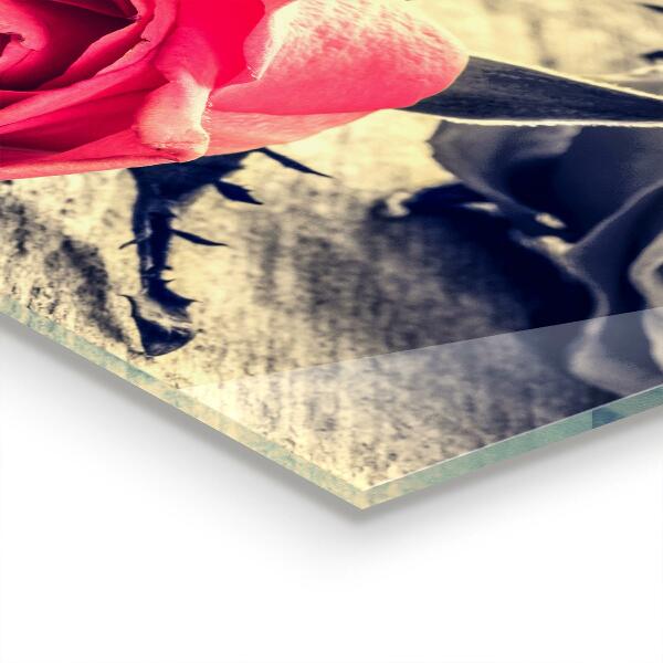 Nástenný panel  Ruža symbol lásky