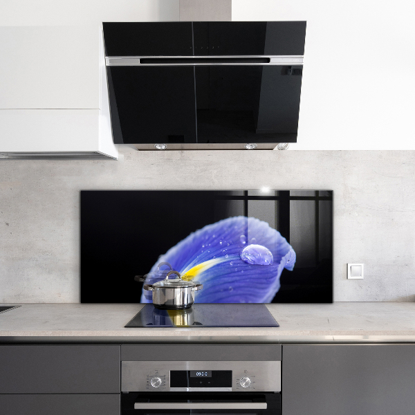 Nástenný panel  Kvet fialovej dúhovky