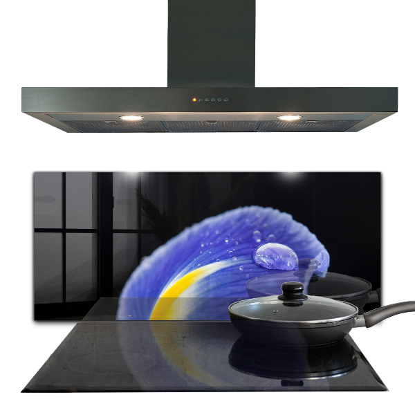 Nástenný panel  Kvet fialovej dúhovky