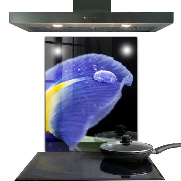 Nástenný panel  Kvet fialovej dúhovky