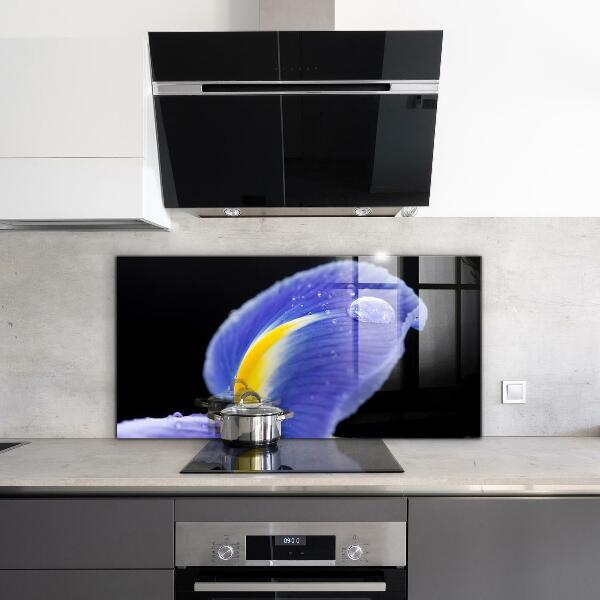 Nástenný panel  Kvet fialovej dúhovky