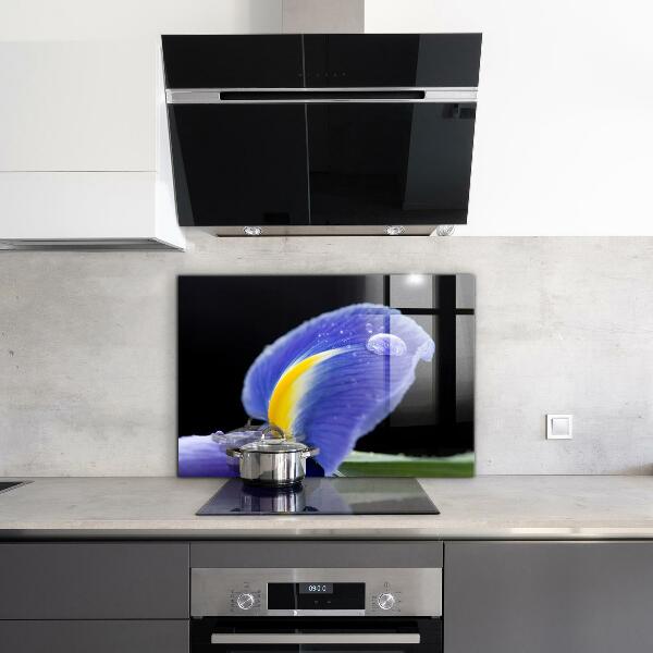 Nástenný panel  Kvet fialovej dúhovky