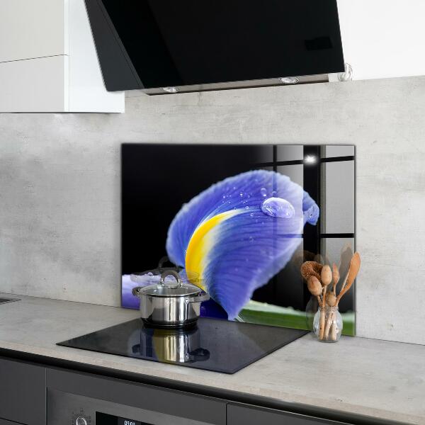 Nástenný panel  Kvet fialovej dúhovky