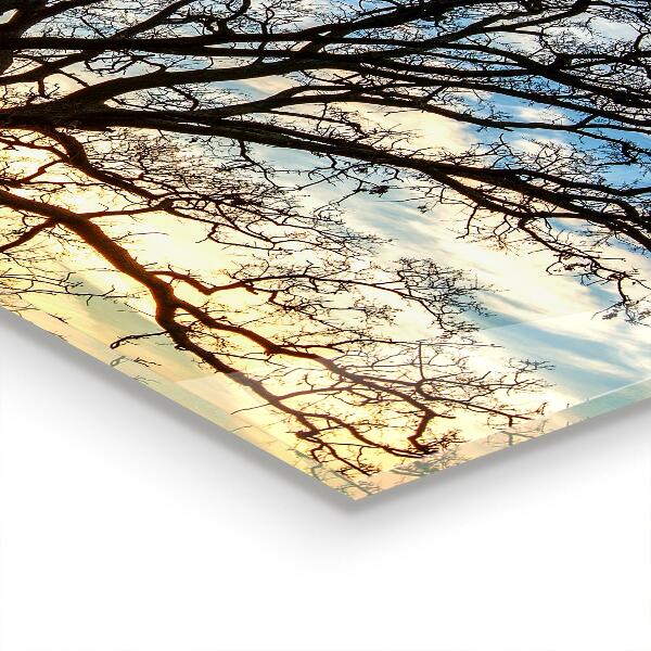 Sklenený obklad do kuchyne Krajina lúka v dopoludňajších hodinách