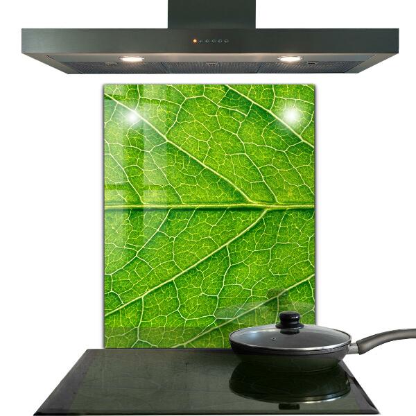 Nástenný panel  Podrobnosti o jemných listoch