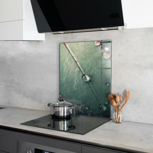 Nástenný panel  List s kvapkou rosy