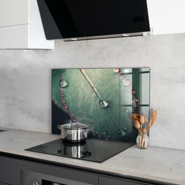 Nástenný panel  List s kvapkou rosy