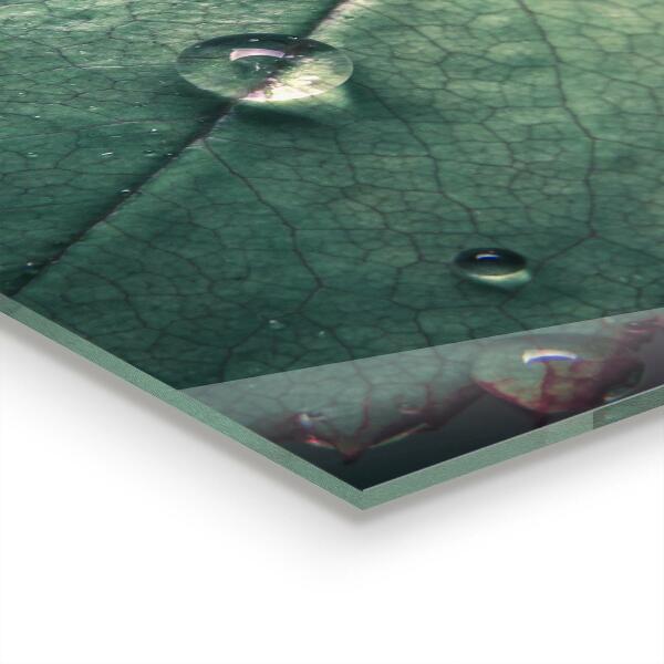 Nástenný panel  List s kvapkou rosy