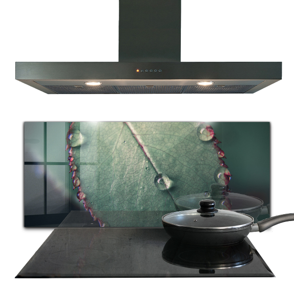 Nástenný panel  List s kvapkou rosy