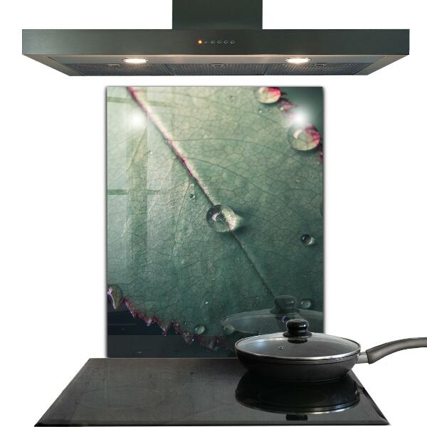 Nástenný panel  List s kvapkou rosy