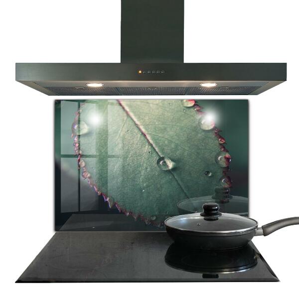 Nástenný panel  List s kvapkou rosy