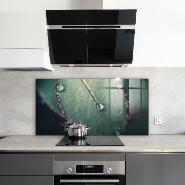 Nástenný panel  List s kvapkou rosy