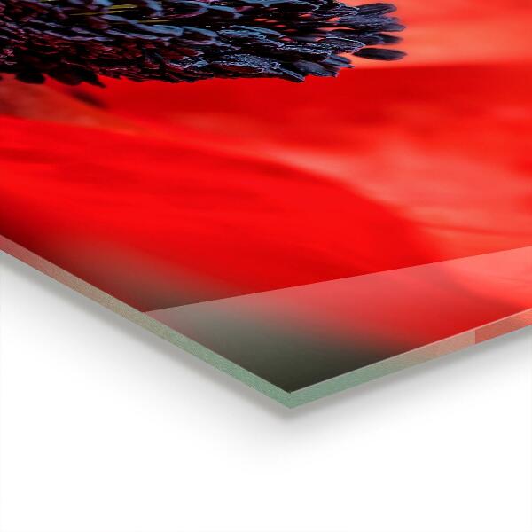 Nástenný panel  Detaily červeného maku