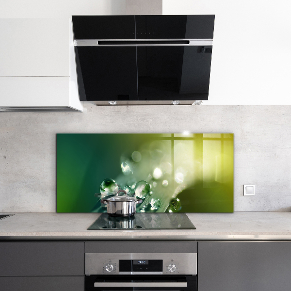 Nástenný panel  Rosa na zelených listoch