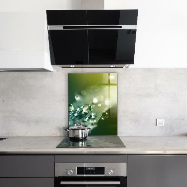 Nástenný panel  Rosa na zelených listoch