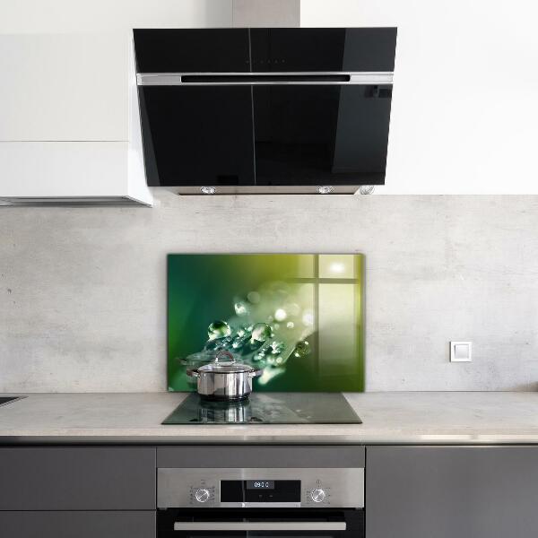 Nástenný panel  Rosa na zelených listoch