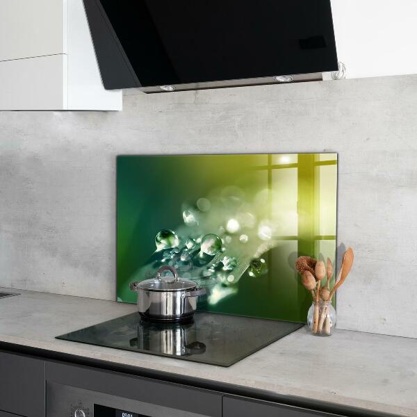 Nástenný panel  Rosa na zelených listoch