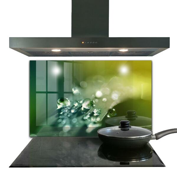 Nástenný panel  Rosa na zelených listoch