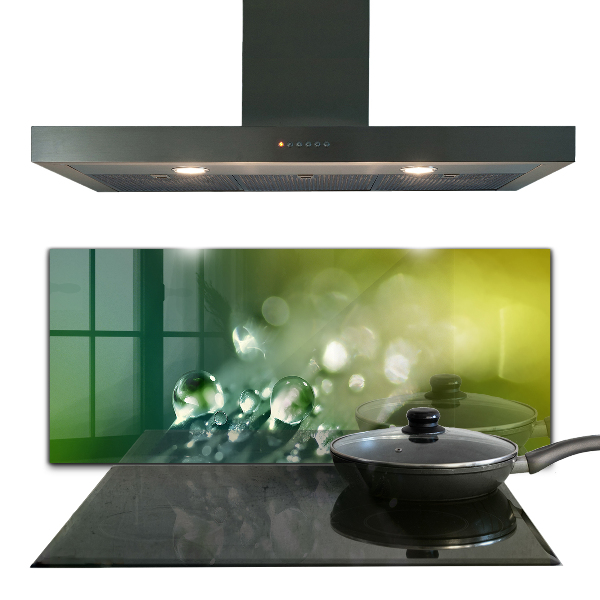 Nástenný panel  Rosa na zelených listoch