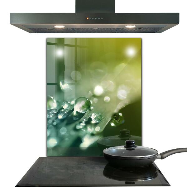 Nástenný panel  Rosa na zelených listoch