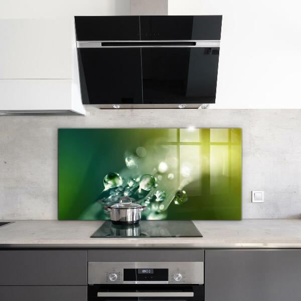 Nástenný panel  Rosa na zelených listoch