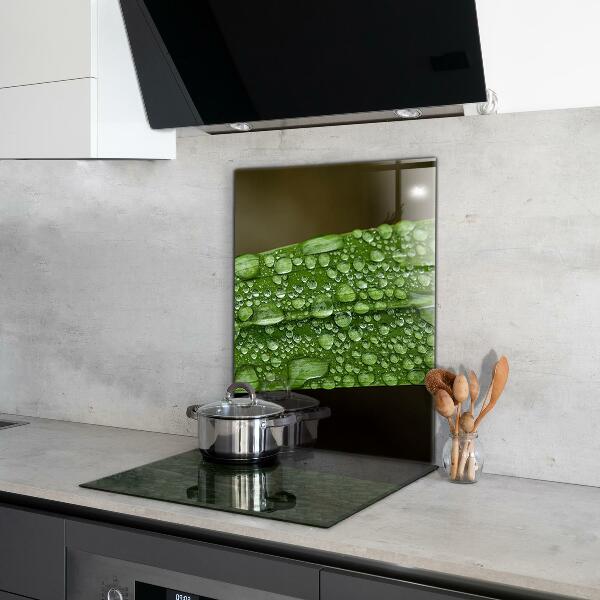 Nástenný panel  Zelený list po daždi